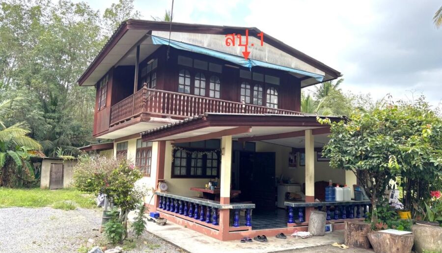 ขาย บ้านเดี่ยว สุราษฎร์ธานี อำเภอ กาญจนดิษฐ์ จังหวัด สุราษฎร์ธานี