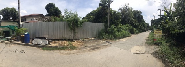 ขายที่ดิน ซอยราชวินิตบางแก้ว 1 ขนาด 288 ตร.ว. ใกล้เมกาบางนา