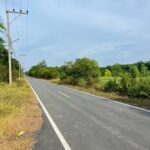 ถูกจัด ที่ดินใกล้กรุงฯ ติดถนนลาดยาง 200ตรว.7แสน฿ คลอง9หนองเสือ ปท