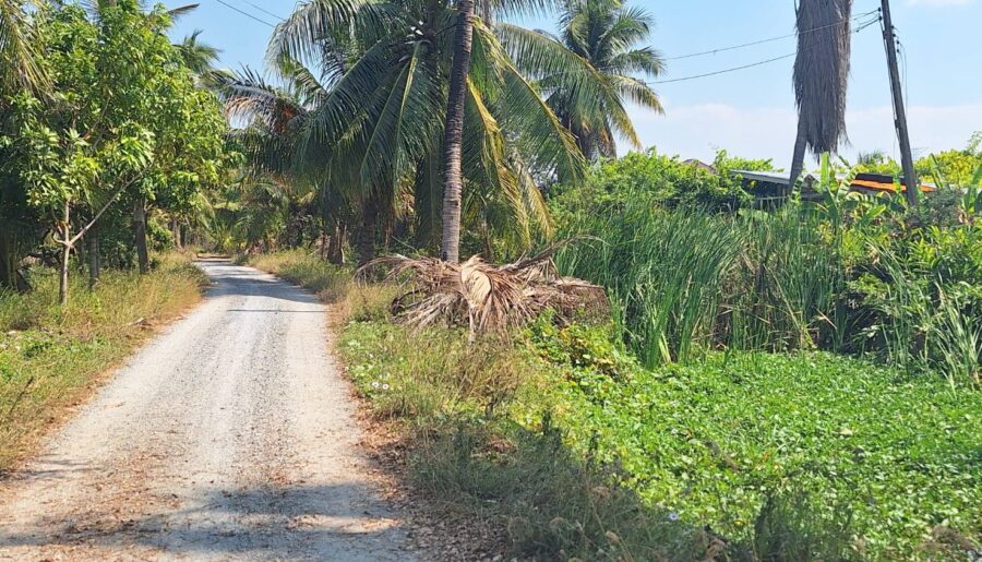 ขายที่ดิน 4-0-87 ไร่ อ.ลาดบัวหลวง , ใกล้ถนนหมายเลข 4009