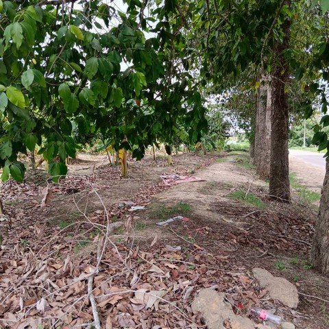 ขายที่ดินบ่อวิน ศรีราชา แปลงงาม ราคาดี ใกล้อีสเทิร์นซีบอร์ด
