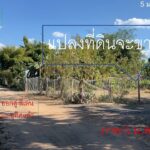 ขายที่ดินผ่อน ดอกเบี้ย 0% ใกล้ไฟแดง รพ.ร้องกวาง จังหวัดแพร่