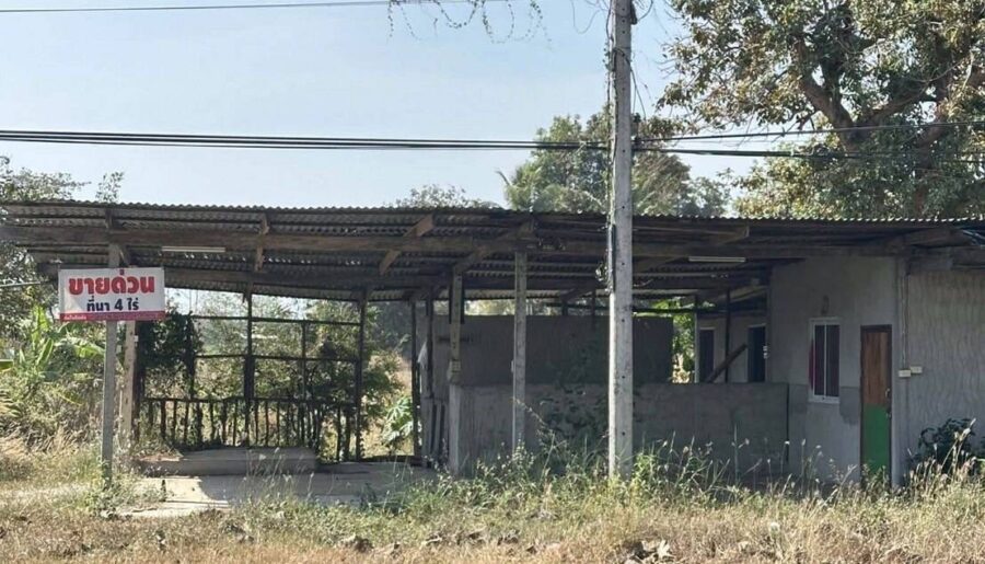 ขายที่ดิน 4 ไร่ 2 งาน 84 ตารางวา จังหวัดศรีสะเกษ