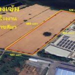 ขายที่ดิน นครราชสีมา 35 ไร่ 23 ตร.ว. ที่ดินสีม่วงเข้ม