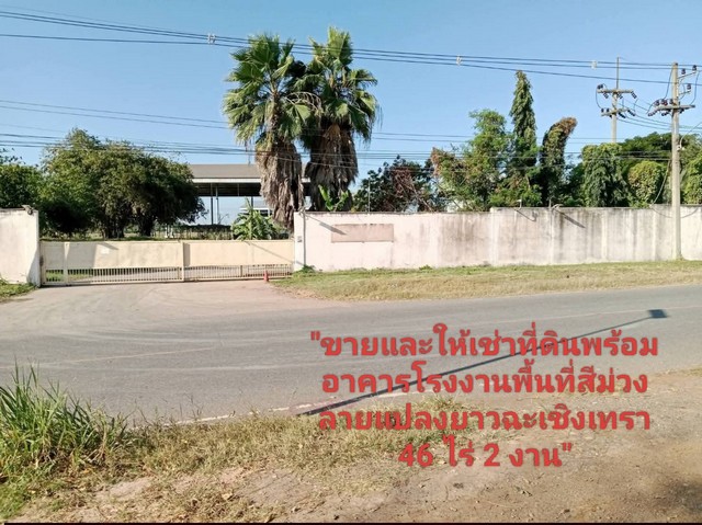 ขายและให้เช่าที่ดินพร้อมอาคารโรงงานแปลงยาวฉะเชิงเทรา