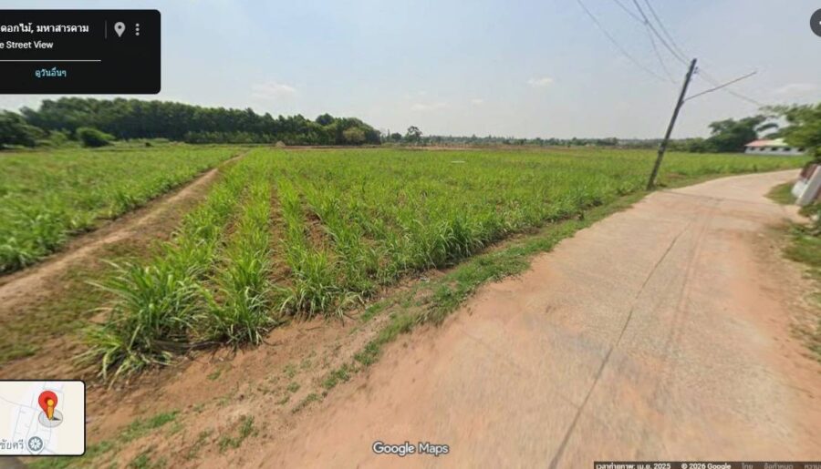 ขายที่ดินเปล่า ทำเลดี อำเภอชื่นชม มหาสารคาม