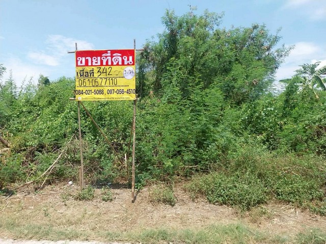 ขายที่ดิน 342 ตารางวา ซอยหนองปิงร่วมใจ7 เมืองนครสวรรค์