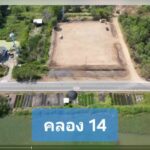 ขายที่สวยถมแล้วติดถนนเลียบคลอง 14 อ.หนองเสือ จ.ปทุมธานี
