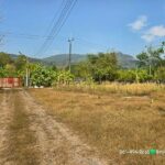 ขายบ้านสวน ห่างชายเขาเพียง 200เมตร ใกล้น้ำตกคลองมะเดื่อ