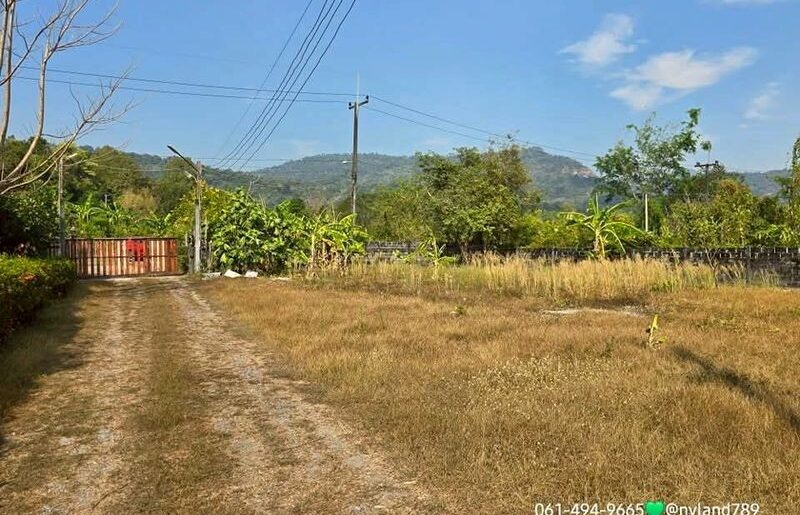 ขายบ้านสวน ห่างชายเขาเพียง 200เมตร ใกล้น้ำตกคลองมะเดื่อ
