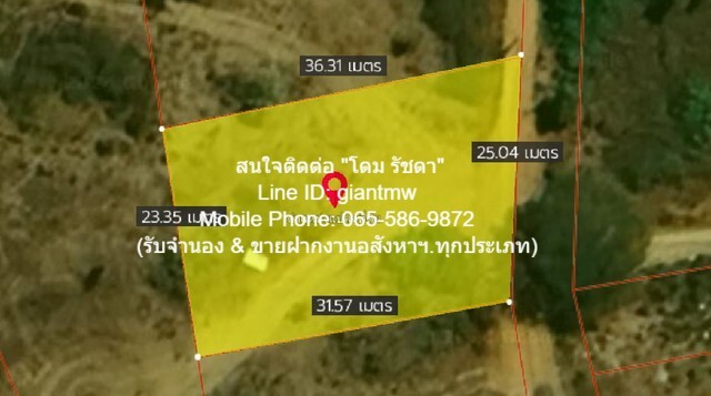 //ลด//ขายที่ดินเปล่าปากน้ำปราณ (ห่างชายทะเลปากน้ำปราณ 3 กม.) 200