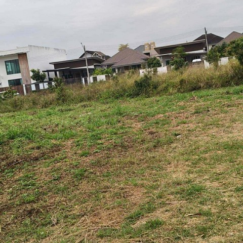 ขาย ที่ดิน 152 ตรว ทำเลยดีมาก ตำบลแม่เหียะ อำเภอเมืองเชียงให