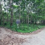 ขายที่ดินว่างเปล่า ถนนสายเกาะปอ อำเภอเกาะลันตา กระบี่