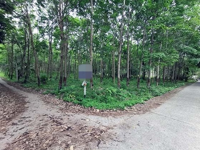 ขายที่ดินว่างเปล่า ถนนสายเกาะปอ อำเภอเกาะลันตา กระบี่