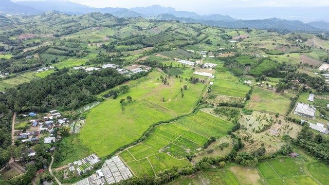 ขายที่ดิน ที่ดิน นะโมแลนด์ (Namoland) Heaven Forest Phase 3