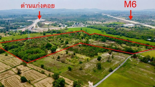 ขายที่ดิน แก่งคอย ( ใกล้ทางขึ้นมอเตอร์เวย์ M6 )พื้นที่ 53 ไร่ 31