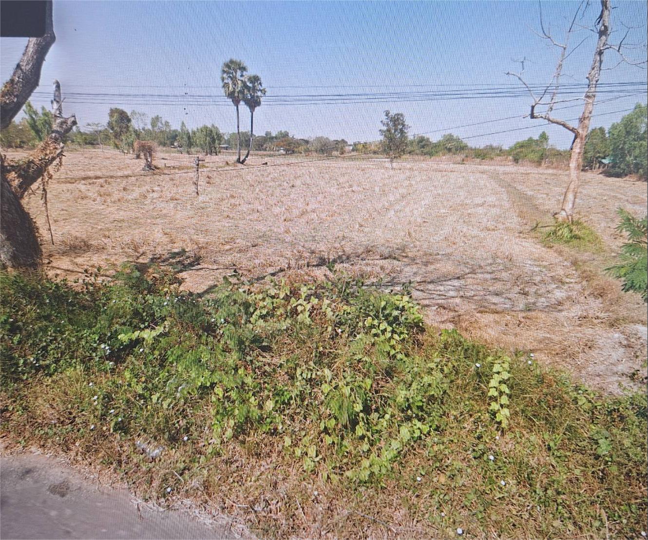 ที่ดินเปล่า 3 ไร่ ติดถนนหมายเลข2050 (บ้านสาวะถี-บ้านงิ้ว)
