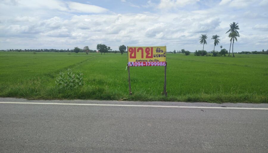 ที่ดินเปล่า 2-2-0 ไร่ ติดถนนอ่างทอง-สุพรรณบุรี อ.สามโก้ จ.อ่างทอง