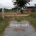 ที่ดินขนาด 3 ไร่ ตำบลหนองประดู่ อำเภอเลาขวัญ จังหวัดกาญจนบุรี