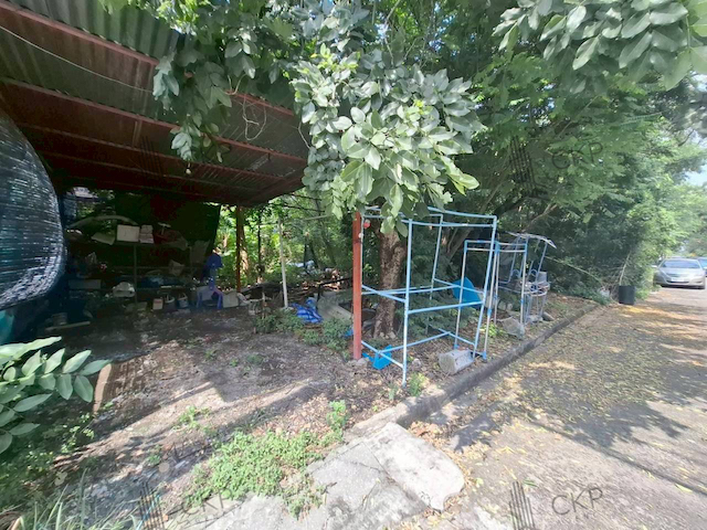 ที่ดินเปล่าทำเลดี รังสิต-นครนายก ใกล้ฟิวเจอร์รังสิต | รหัส 93352