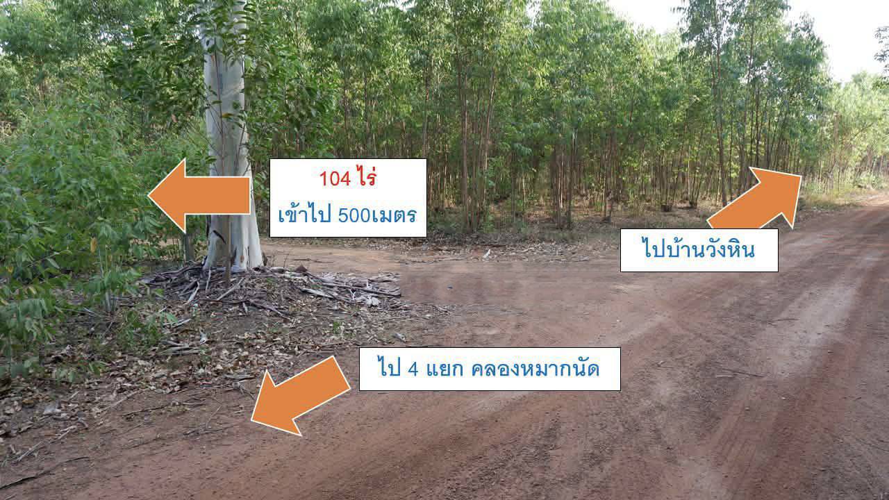ที่ดินแปลงใหญ่ 104 ไร่ – โอกาส Mega Project