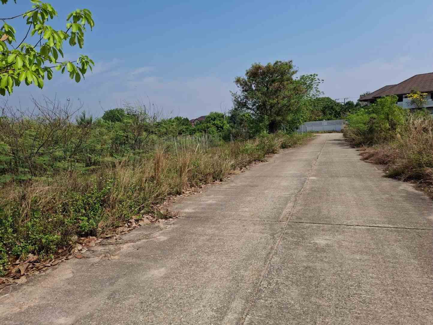 ขายที่ดินเปล่า อ.หางดง จ.เชียงใหม่