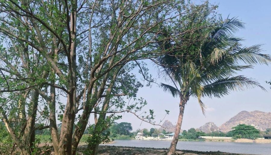 ขายที่ดิน ริมน้ำในเมืองโอกาสแบบนี้ไม่ได้มีบ่อย