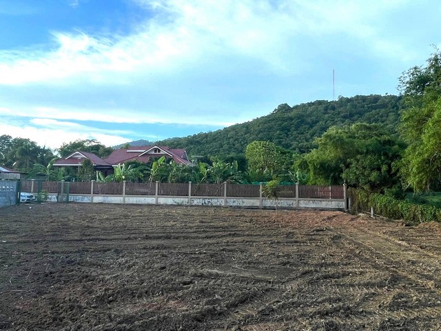 ขายที่ดินบ้านเพจังหวัดระยอง 200 ตรว.