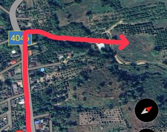ที่ดินธรรมชาติ วิวภูเขา แม่แตง เชียงใหม่ 2 ไร่ 1 งาน 50 ตร.วา (น