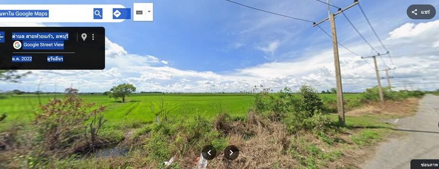 ขายที่นา 61-3-44 ไร่ อำเภอบ้านหมี่ จังหวัด ลพบุรี