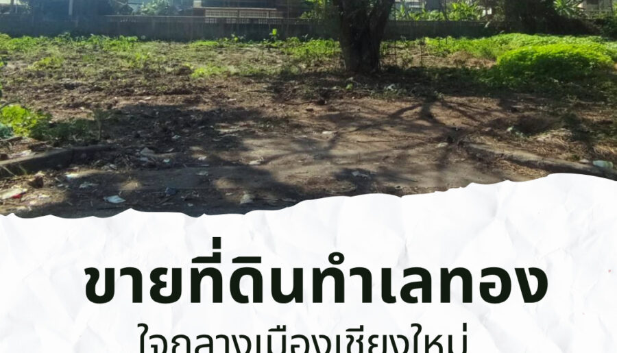 ที่ดินทำเลทอง ใจกลางเมืองเชียงใหม่ ขนาด: 298 ตร.วา