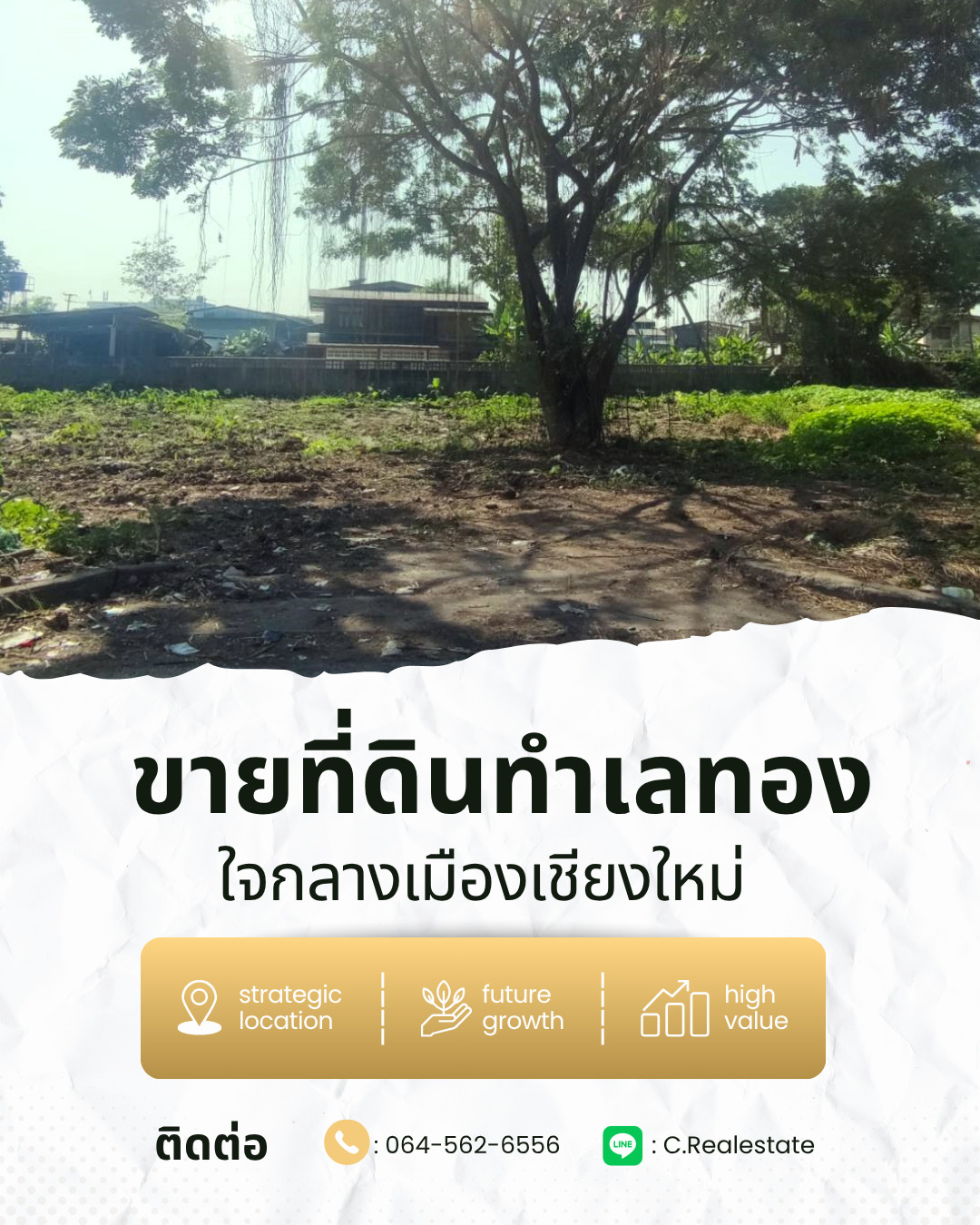 ที่ดินทำเลทอง ใจกลางเมืองเชียงใหม่ ขนาด: 298 ตร.วา