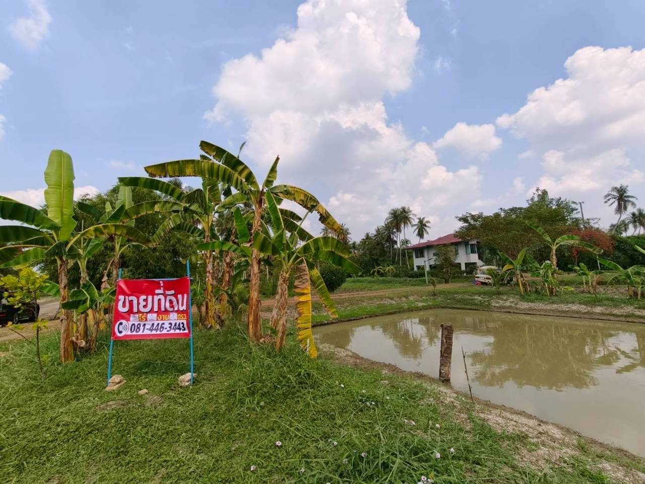ขายที่ดินพร้อมสิ่งปลูกสร้าง ทำเลทอง ใกล้ถนนพุทธมณฑลสาย 7 นครปฐม