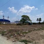 ขายที่ดินบ่อทองชลบุรี ขายที่ดิน 8-2-50.4 ไร่