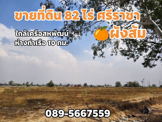 ขายที่ดินแหลมฉบัง 82-0-13 ไร่ ห่างท่าเรือแหลมฉบังเพียง 10 กม. เท่