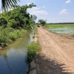 ขายที่นาแปลงสวย อำเภอคลองขลุง จ.กำแพงเพชร 28 ไร่ 2 งาน 6 ตรว.