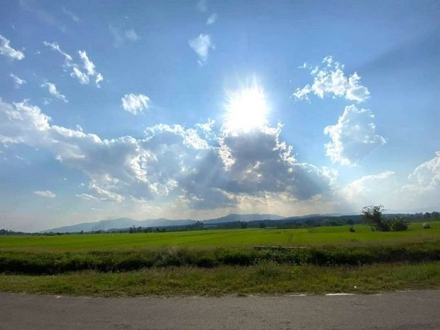 ที่ดินเปล่า เป็นที่นา วิวภูเขาแนวธรรมชาติ แม่ริม