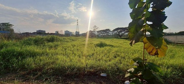 ที่ดินทำเลทอง แปลงสวย เหมาะพัฒนาโครงการ สันทราย