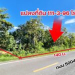 ขายที่ดิน 111-3-96 ไร่ ใกล้นิคมอุตสาหกรรมเวลโกรว์ ใกล้ถนนบางนาตรา