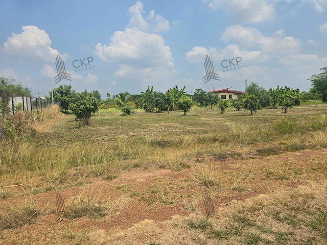 ขาย ที่ดินเปล่า 1 ไร่ ทำเลน่าอยู่ใกล้ตัวเมืองนครนายก | รหัส 93333