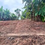 ขายที่ดิน ครึ่งไร่ ทะเล ระยอง ใกล้ หาดแหลมแม่พิมพ์