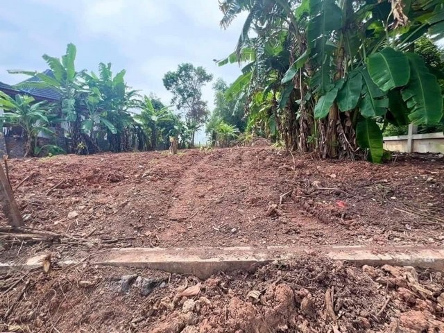 ขายที่ดิน ครึ่งไร่ ทะเล ระยอง ใกล้ หาดแหลมแม่พิมพ์