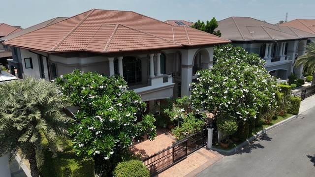 เดอะ แกรนด์ ปิ่นเกล้า The Grand Pinklao 141 ตรว 475 ตรม กำไร 6 M