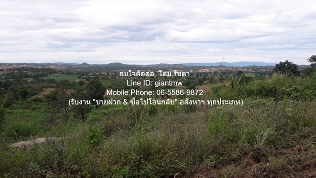 ขายที่ดินบนเนินเขา 10-1-5 ไร่ (ใบอ่อน: ส.ป.ก./สร.5 ก.) วังน้ำเขีย
