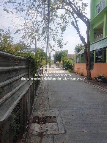 ขายที่ดินเปล่าถมแล้วแปลงเล็ก 100 ตร.ว. หลัง ม.เสนานิเวศน์โครงการ