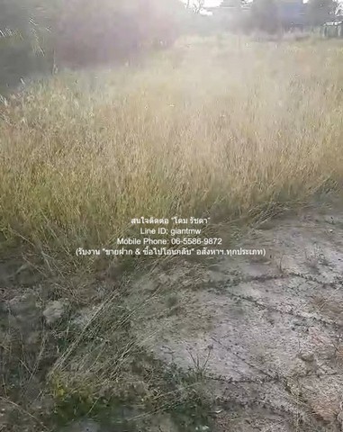 ขายที่ดินเปล่าถมแล้ว 200 ตร.ว. ติดถนนพุทธมณฑลสาย 1 ราคา 30,000,00