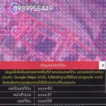 ขายที่ดินนิคมพัฒนาระยอง ที่ดิน 24 ไร่