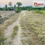 ที่ดินเปล่า ขนาด 2 ไร่ 35 ตารางวา นครปฐม ติดถนนสาธารณะเข้า-ออกสะด