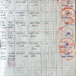 ขายที่ดินเปล่า ห้วยยายจีน ห้วยใหญ่ ชลบุรี (เจ้าของขายเอง)