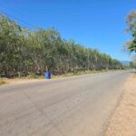 ขายสวนยางผืนใหญ่ ทำเลดี ในตำบลทุ่งควายกิน อ.แกลง จ.ระยอง